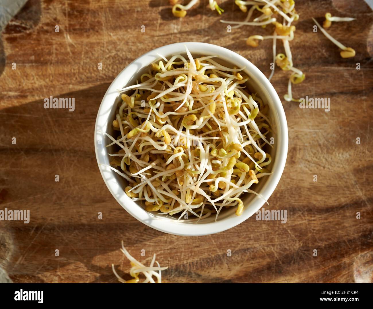 Fresh fenugreek sprouts in a bowl, top view Stock Photo