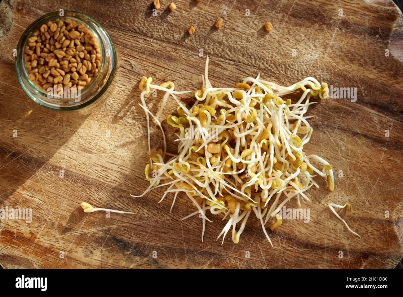 A heap of fresh fenugreek sprouts, with dry seeds in the background Stock Photo