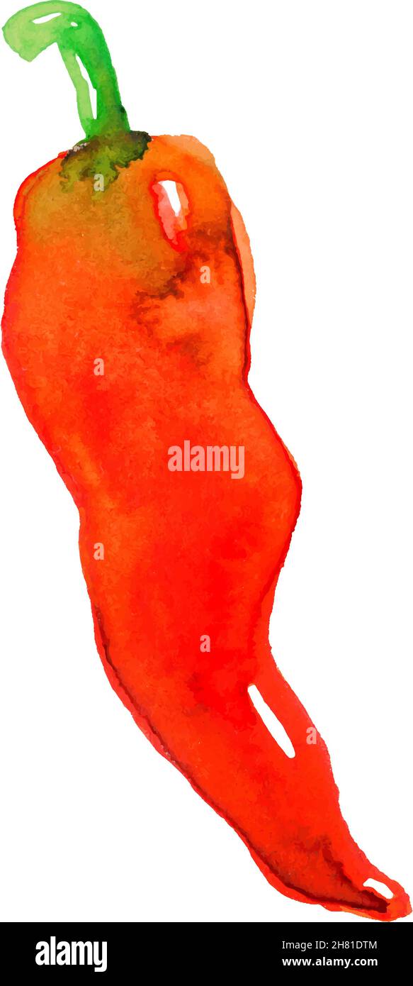Watercolor painting of Hot red pepper, seasoning, food Stock Vector