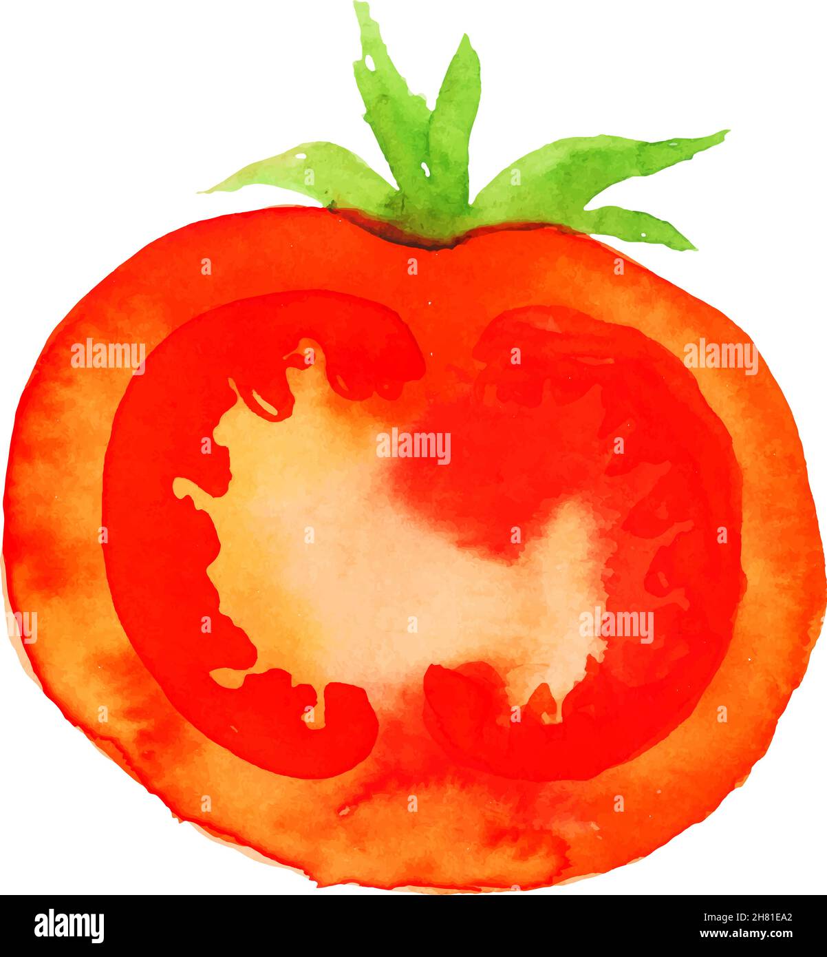 watercolor tomato vector. Red vegetables, natural food Stock Vector Image & Art Alamy