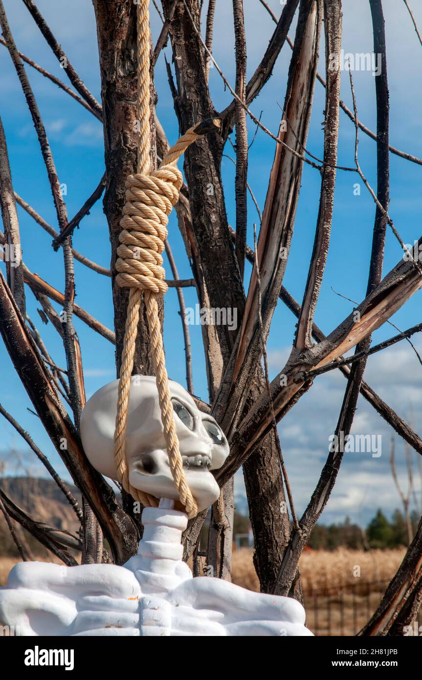 Rope noose hanging from tree hi-res stock photography and images - Alamy
