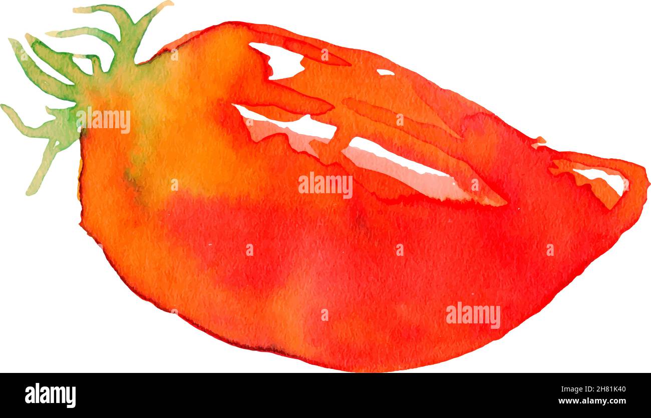 watercolor tomato vector. Red vegetables, natural food Stock Vector Image & Art Alamy