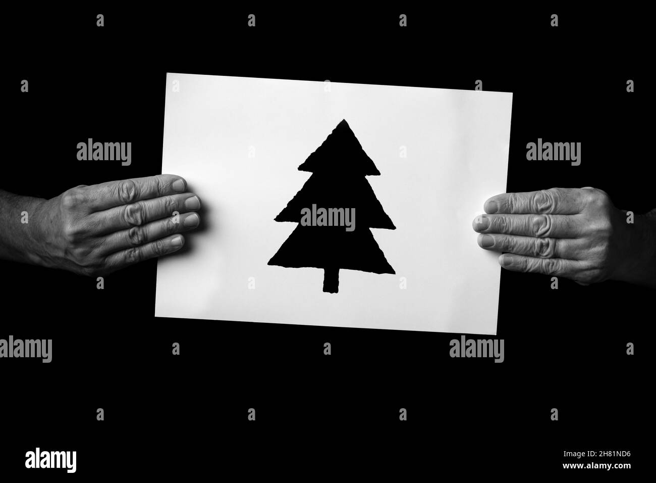 B+W image of male hands holding sheet of paper with christmas tree symbol against black background. Stock Photo