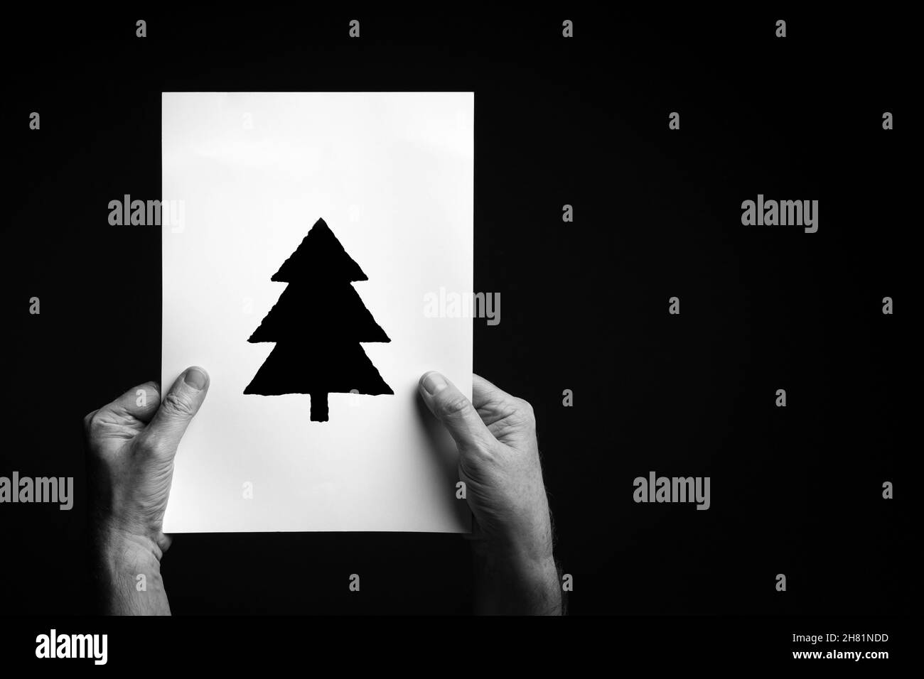 B+W image of male hands holding sheet of paper with christmas tree symbol against black background. Stock Photo