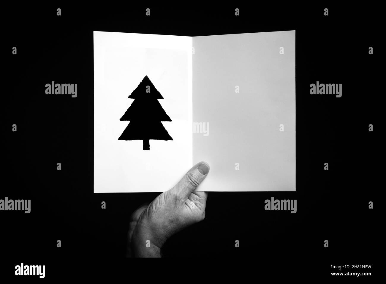 B+W image of male hand holding folded card with christmas tree symbol against black background. Stock Photo