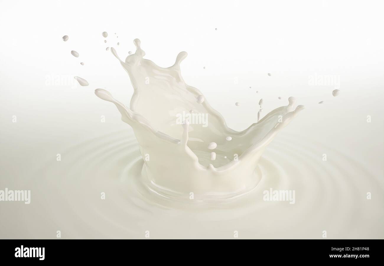 Milk crown splash, splashing in milk pool with ripples. Bird eye view. On white background. Stock Photo