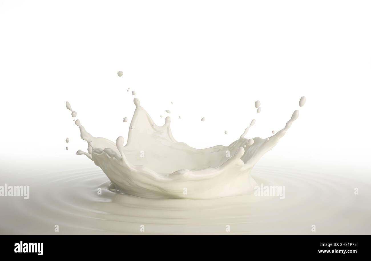 Milk crown splash, splashing in milk pool with ripples. Bird eye view. On white background. Stock Photo