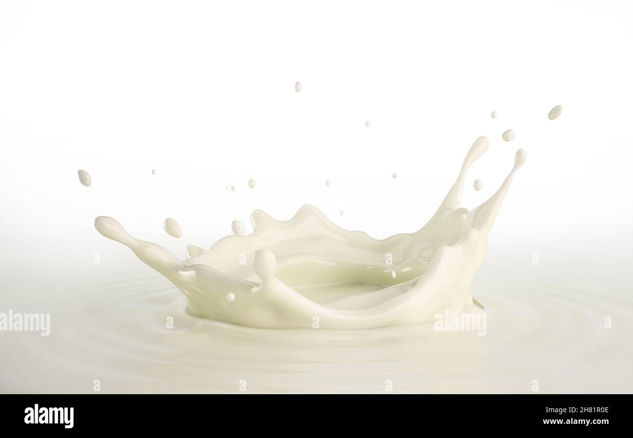Milk crown splash, splashing in milk pool with ripples. Close up bird eye view. On white background. Stock Photo