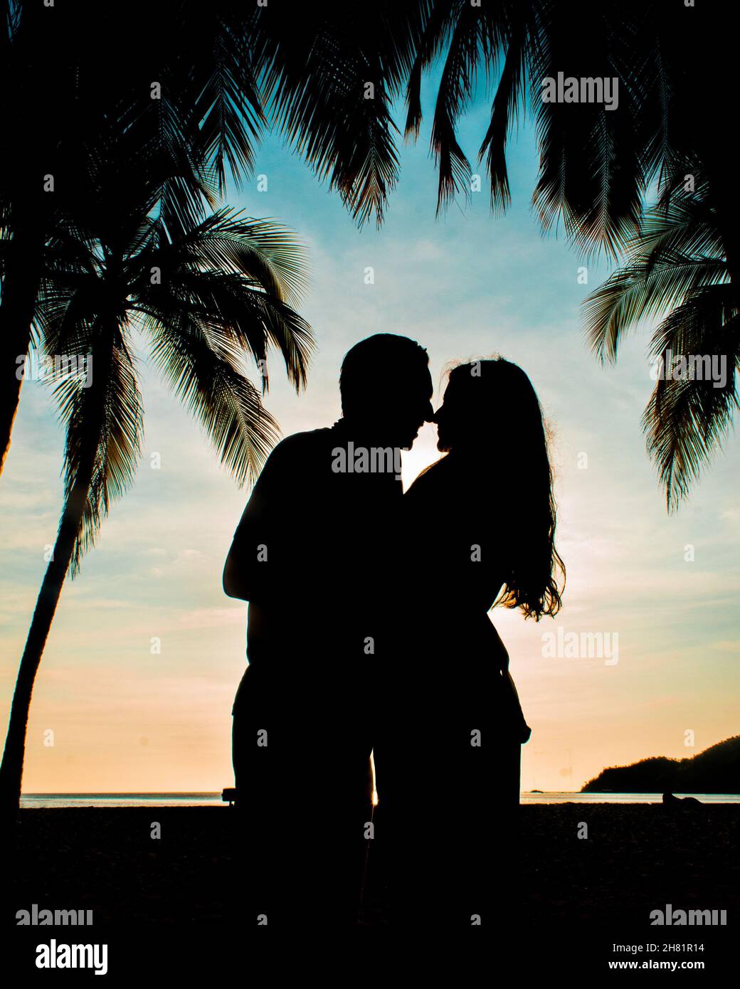 Silhouette of a romantic couple on a beach surrounded by palm trees ...