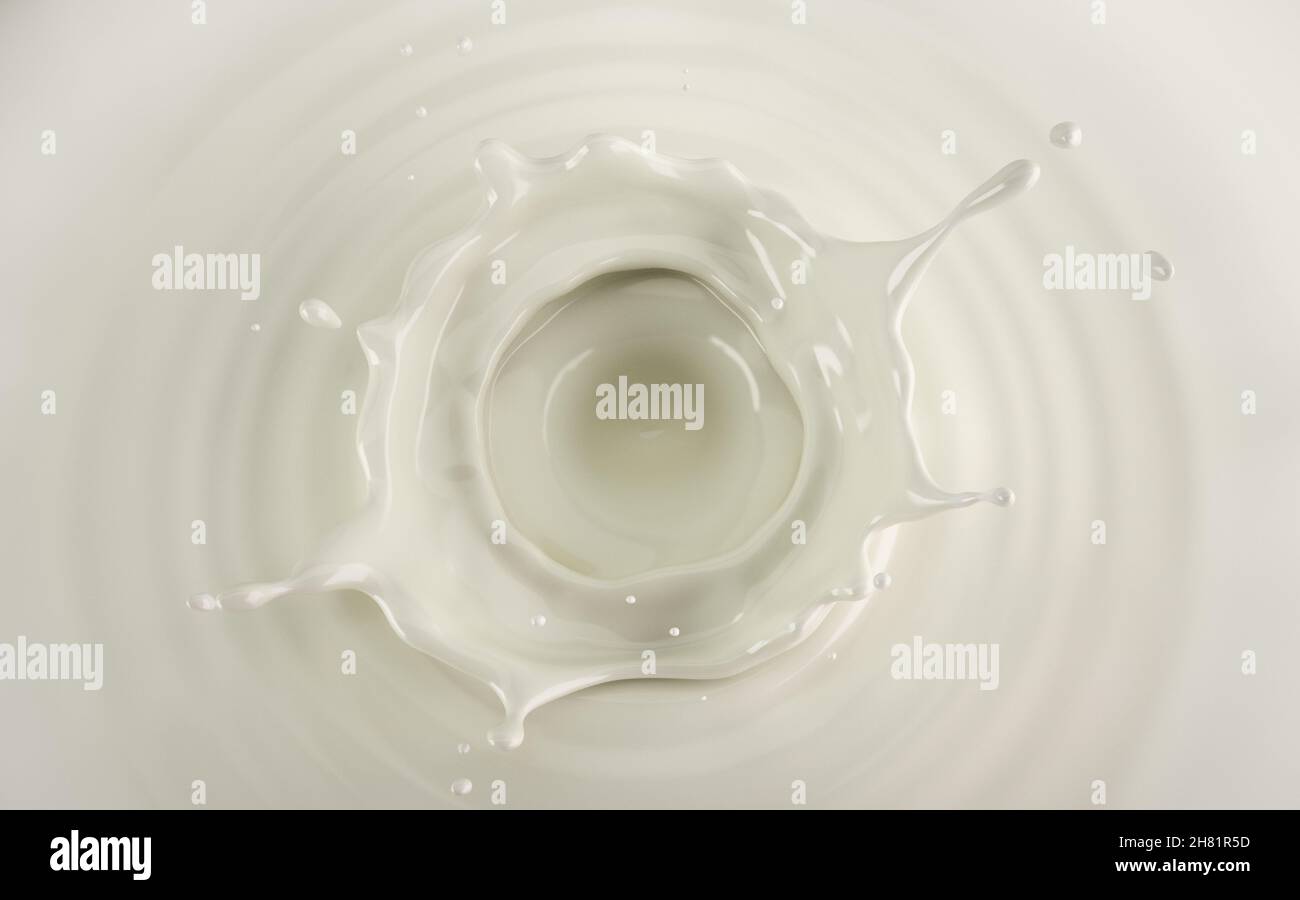 Milk crown splash in milk pool with circular ripples viewed from the top. Stock Photo