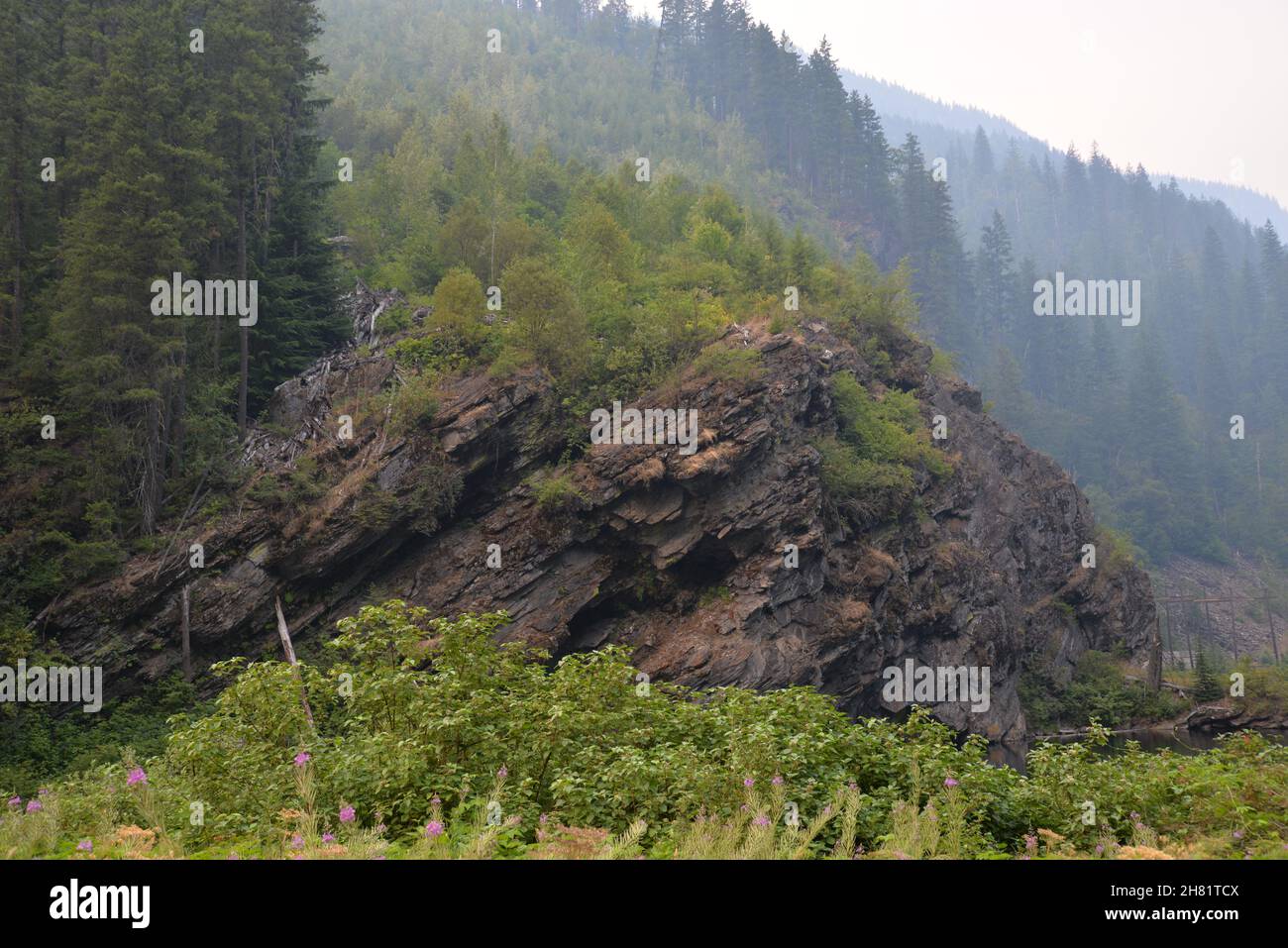 View wildfires in forests hi-res stock photography and images - Alamy