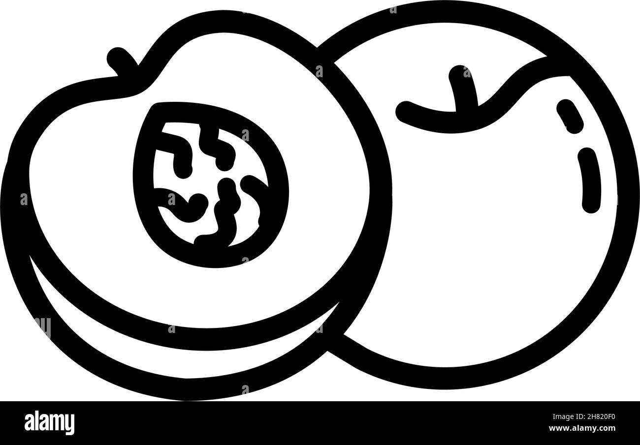 Peach half outline icon. Flat slice peach vector icon for web design ...