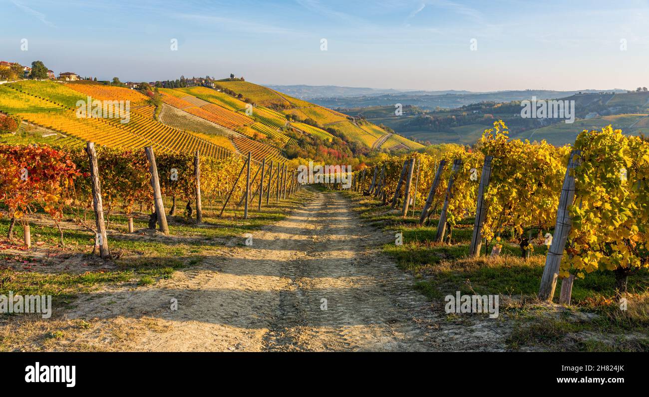 Beautiful hills and vineyards during fall season surrounding Treiso ...