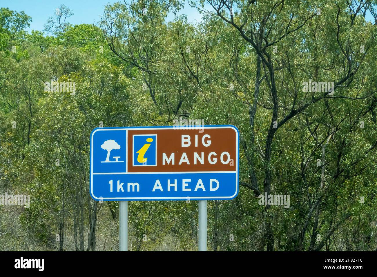 Australia queensland mango hi-res stock photography and images - Alamy