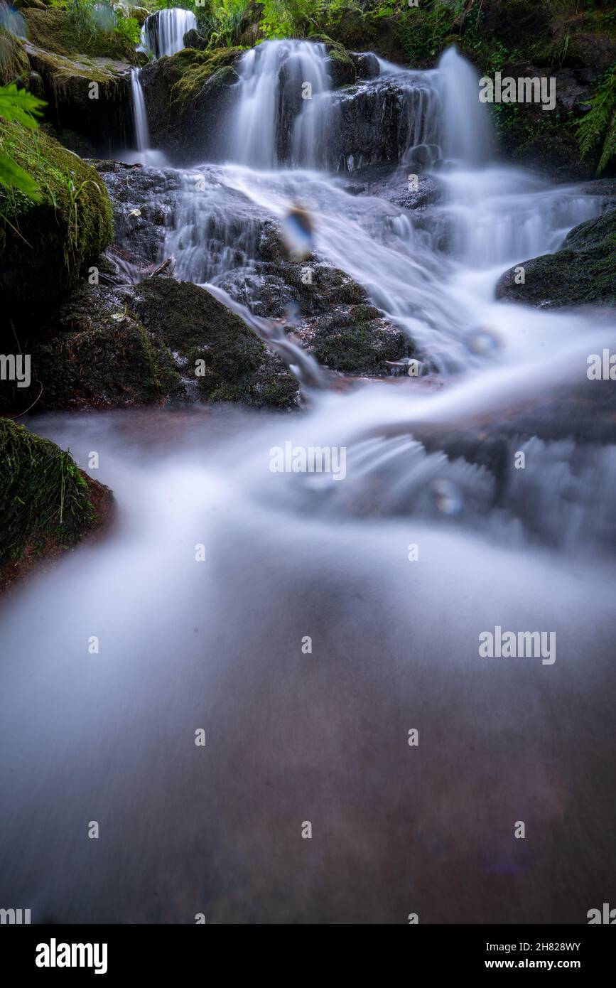 Mesmerizing view of a waterfall in a green forest Stock Photo - Alamy