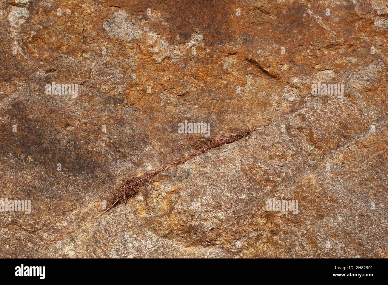 Light brown natural stone mediterranean climate background Stock Photo