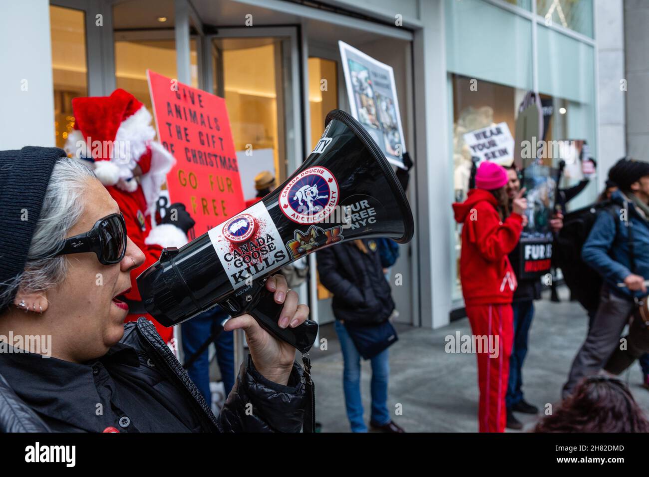 canada goose kills protest