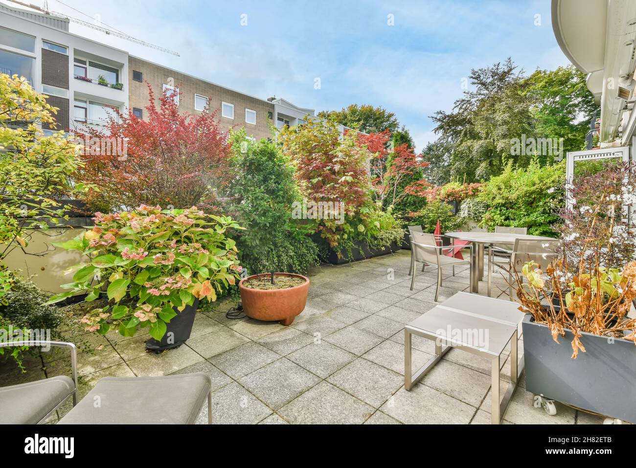 Cozy house courtyard with lots of greenery and modern table and chairs ...