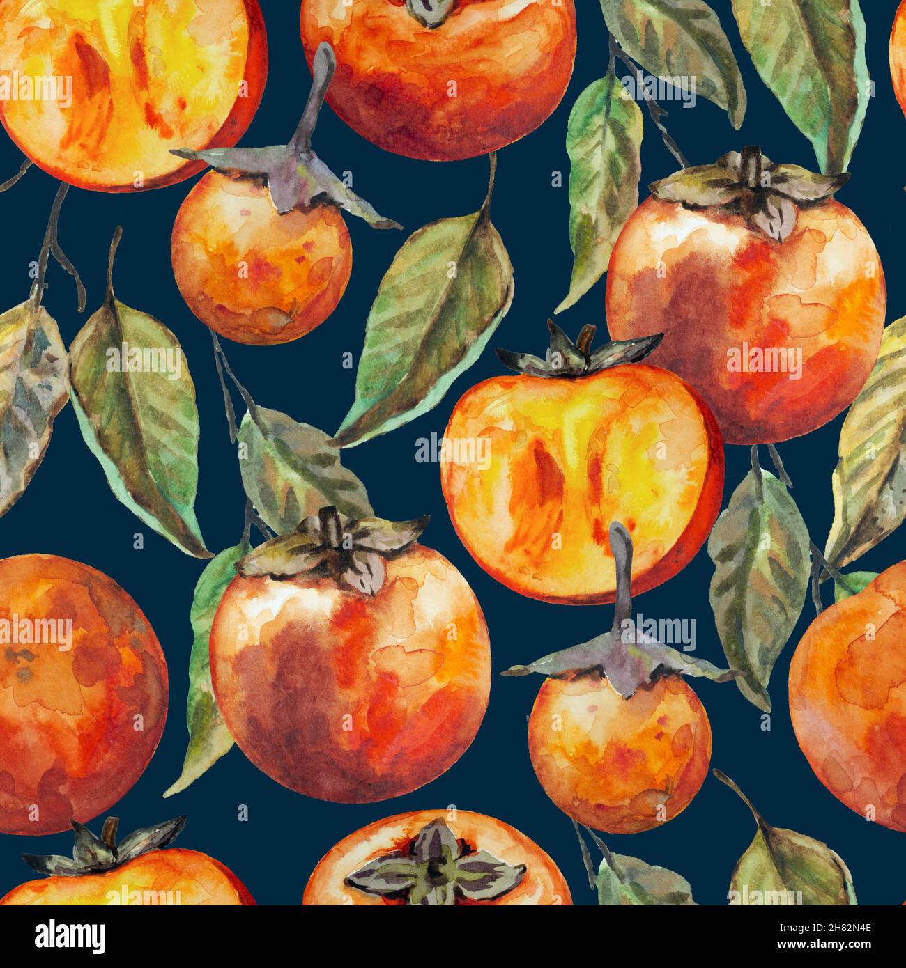 Seamless pattern with hand drawn persimmon fruits, isolated on white ...