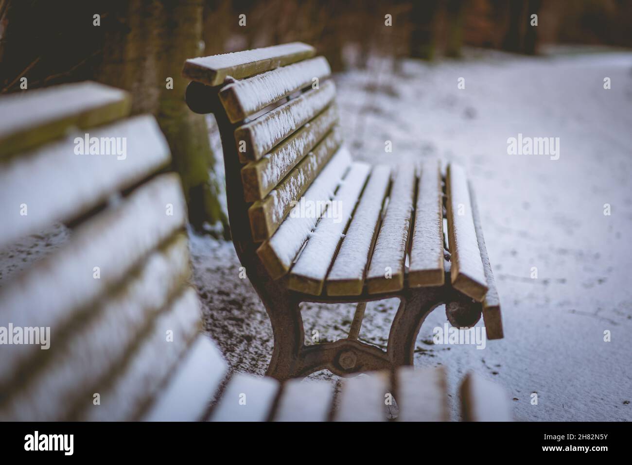 Beautiful shot wooden benches hi-res stock photography and images - Alamy