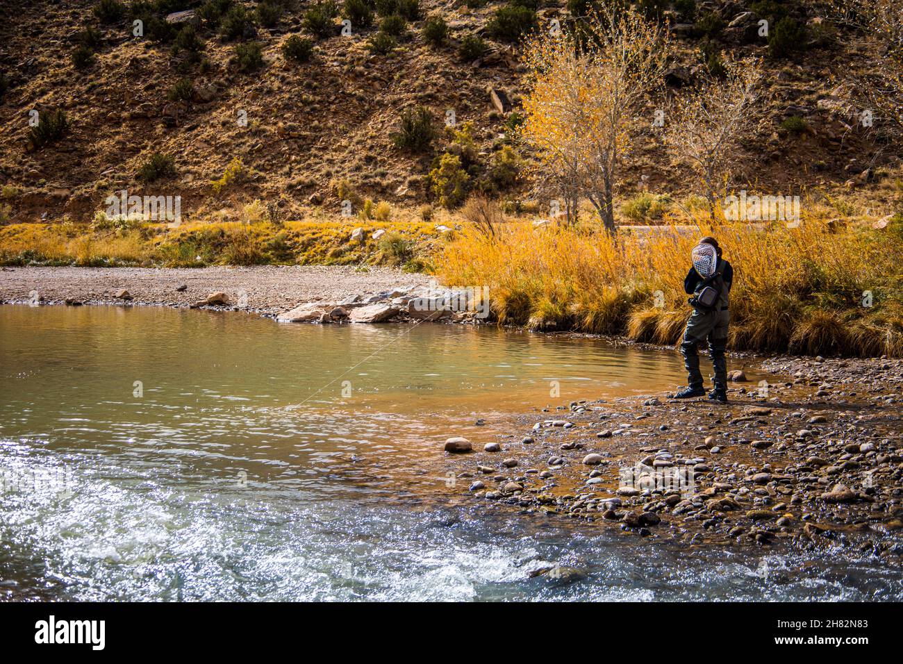Man reeling in a trout from the Chama river enjoying the beauty of Northern New Mexico, USA Stock Photo