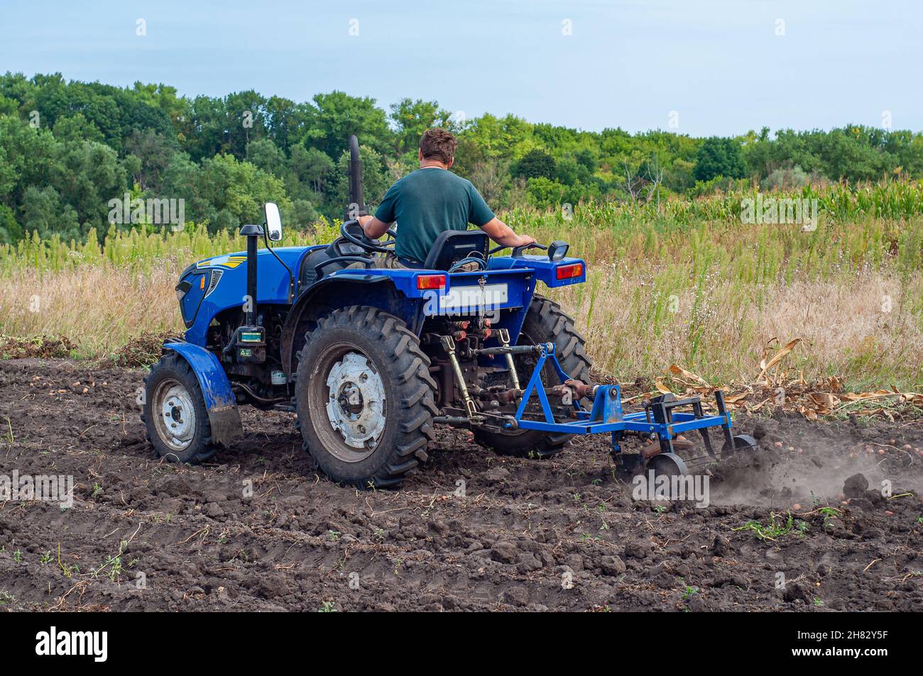 Harvesting potatoes with compact tractor. Agricultural machinery Stock Photo