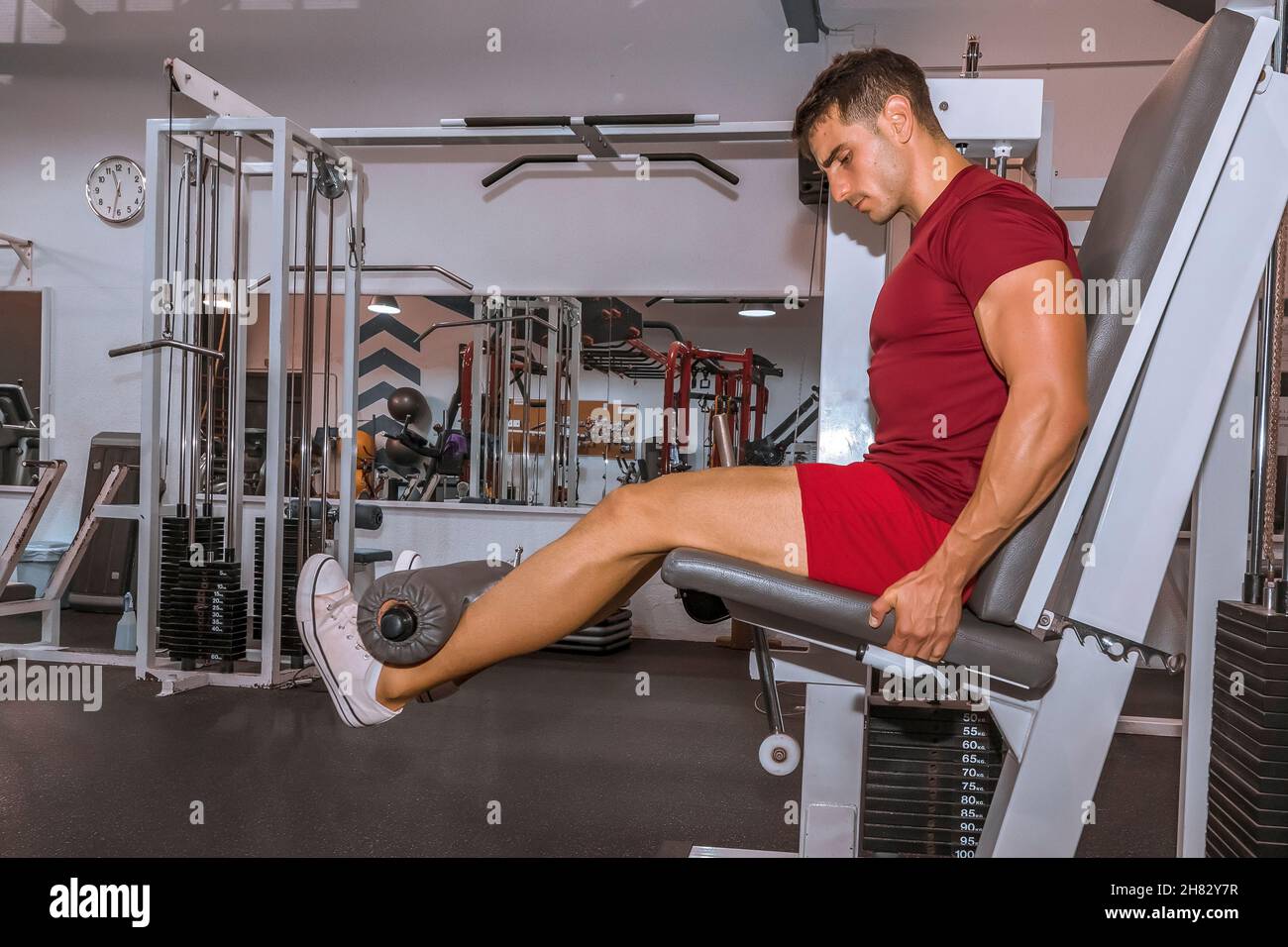 Leg extensions training on fitness machine Stock Photo Alamy
