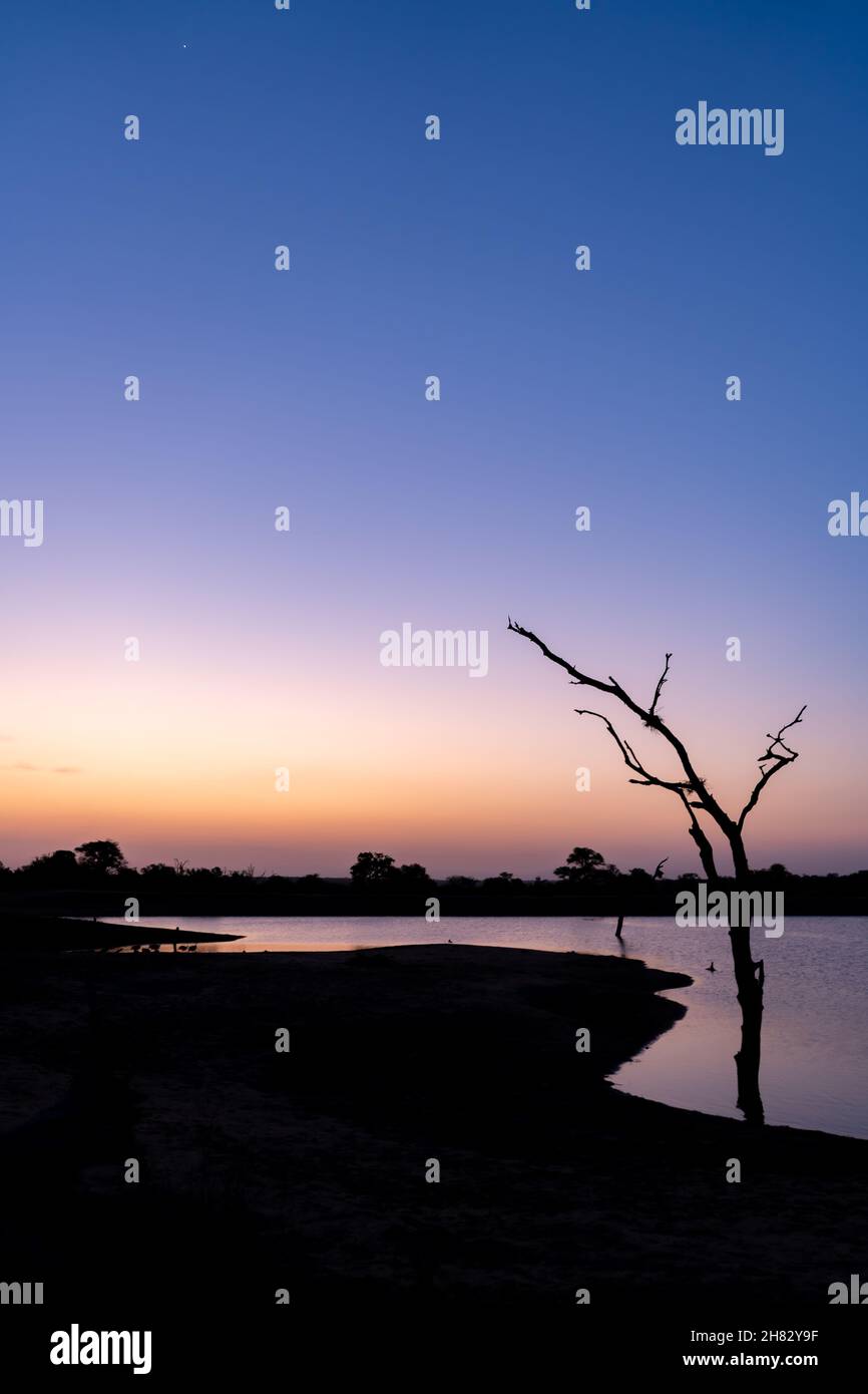 Big african sunset hi-res stock photography and images - Alamy