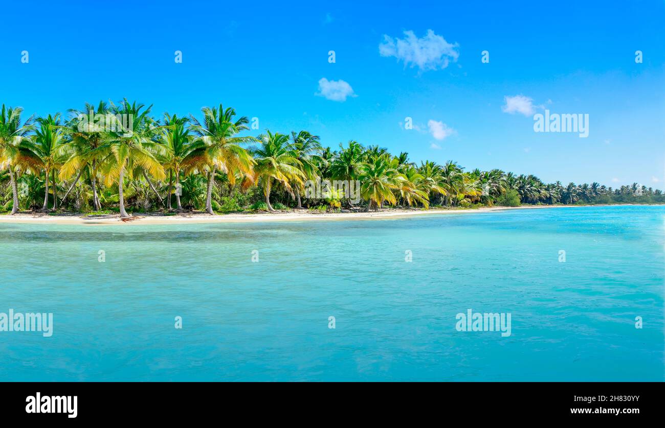 Dream Island. Amazing exotic paradise with palm trees, fantasy beach ...