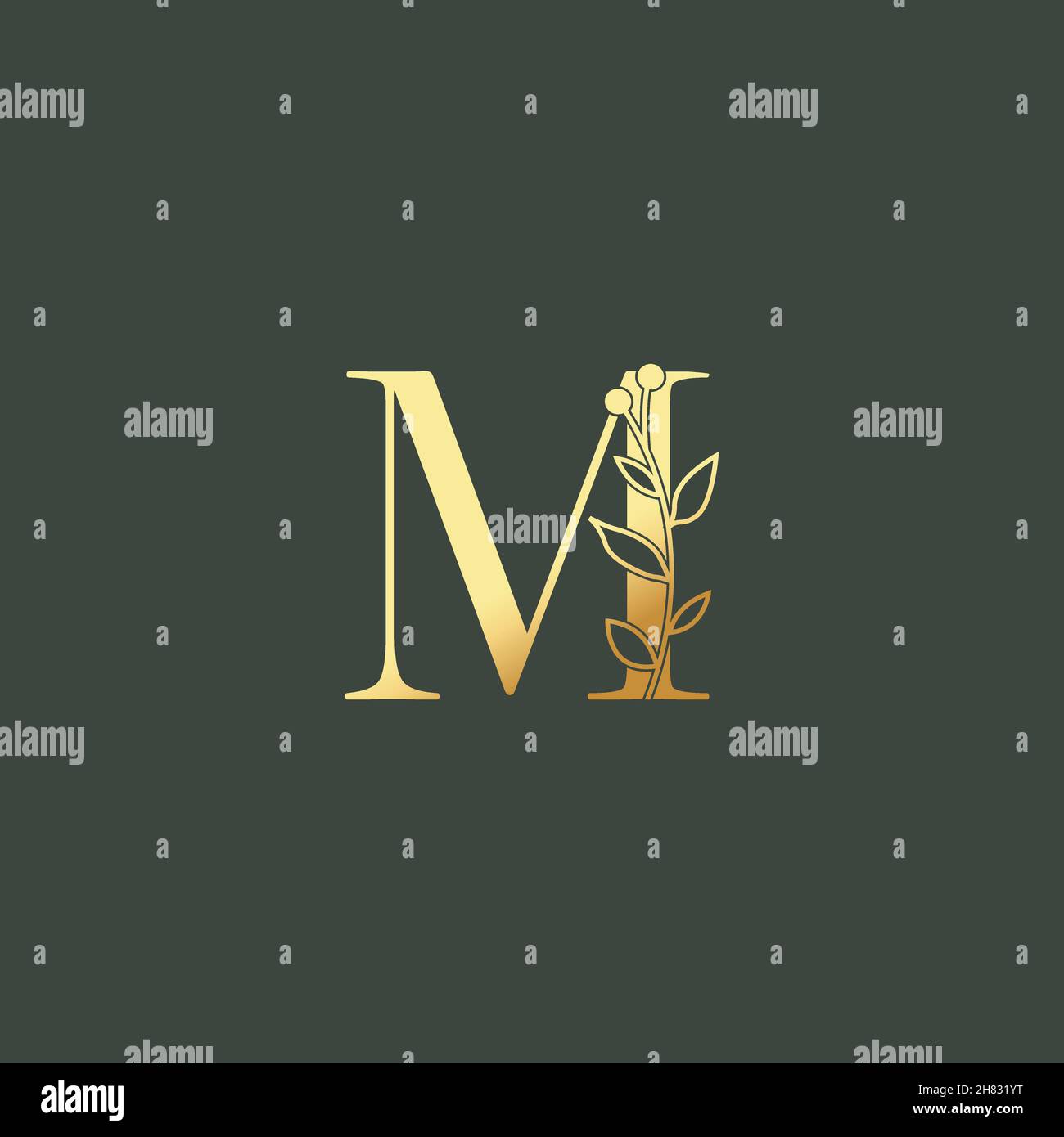 Letter Mm Laurel Vector & Photo (Free Trial)