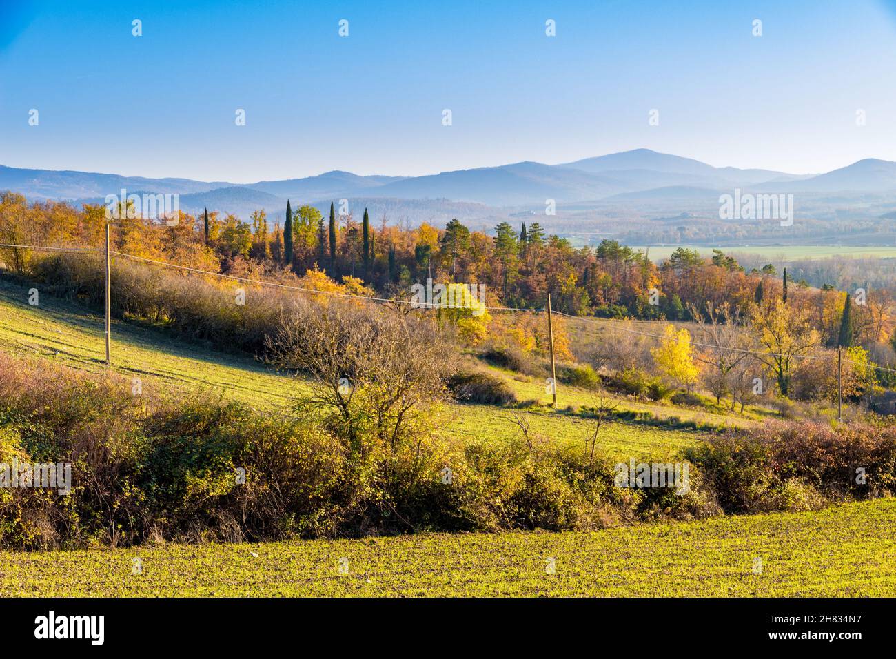 Frosini hi-res stock photography and images - Alamy