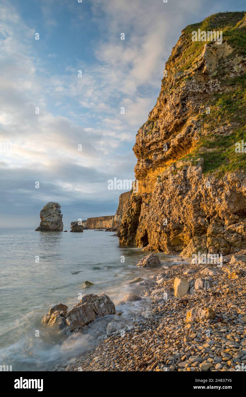 The magnesian limestone cliffs of Marsden Bay, lit by early morning summer sunlight, South Shields, England Stock Photo