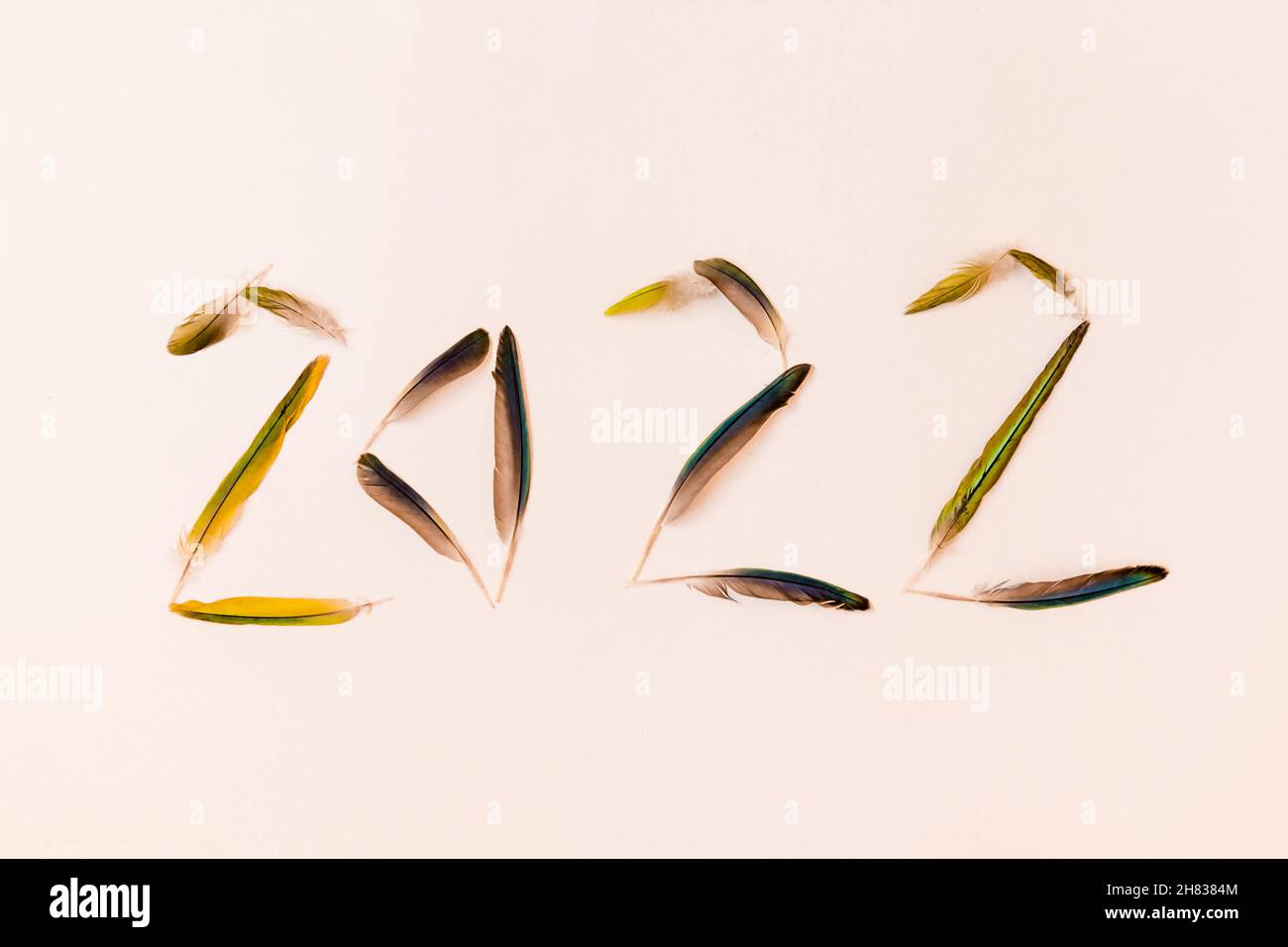 Numeral 2022 is made of green bird feathers on a white background. Stock Photo