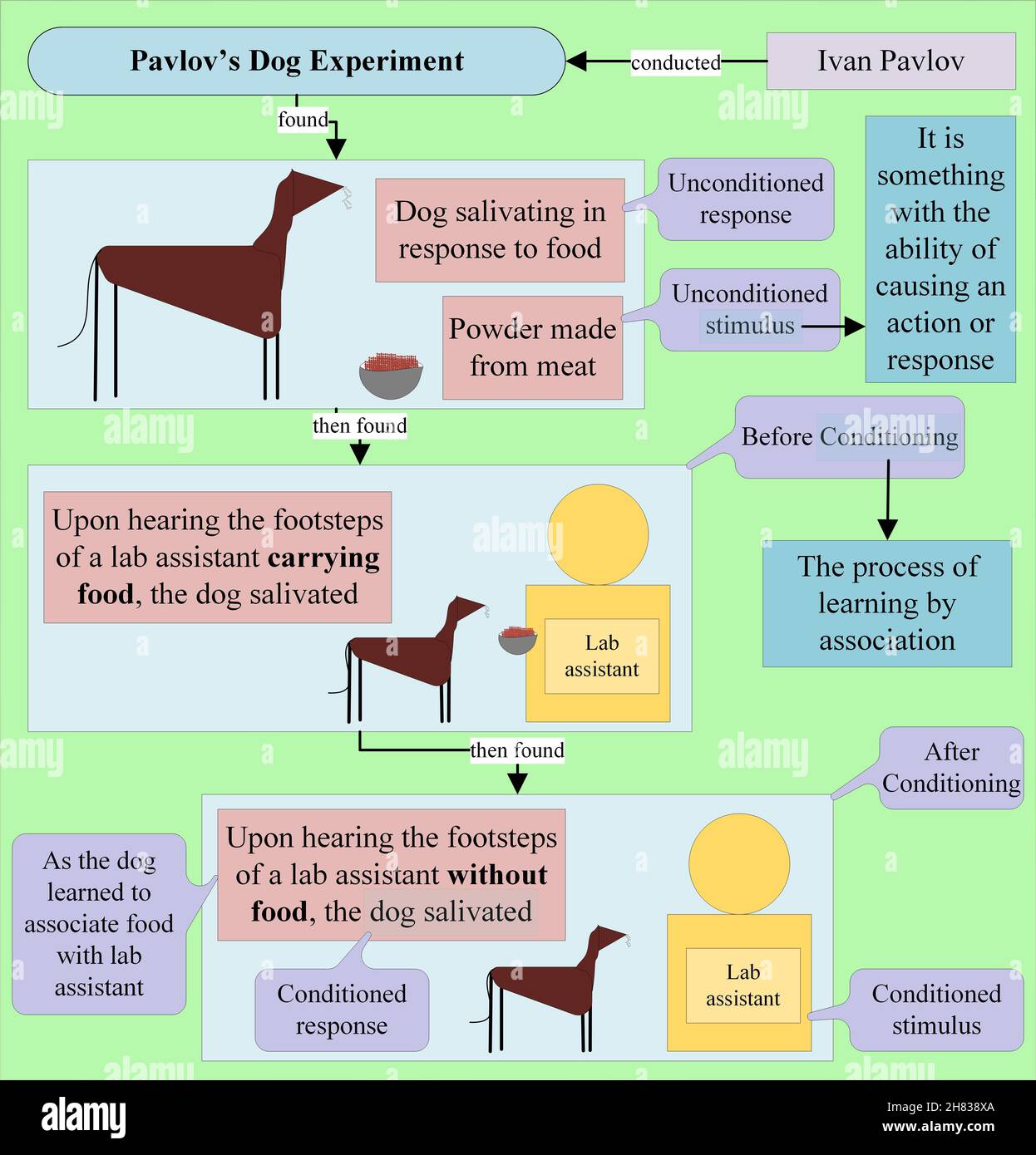 Pavlov Theory