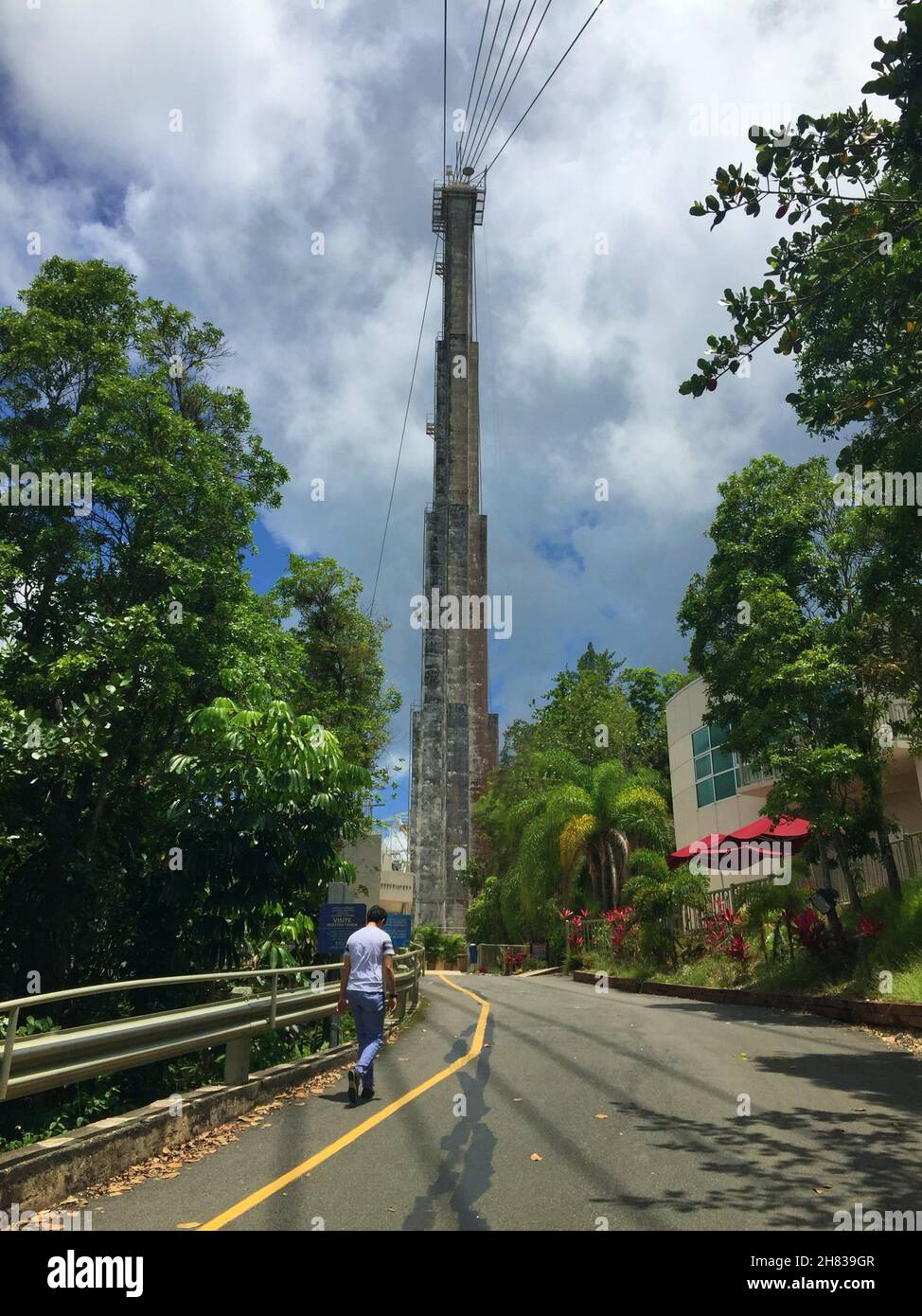 The Arecibo Radio Telescope or Arecibo Telescope or Arecibo Observatory. Stock Photo