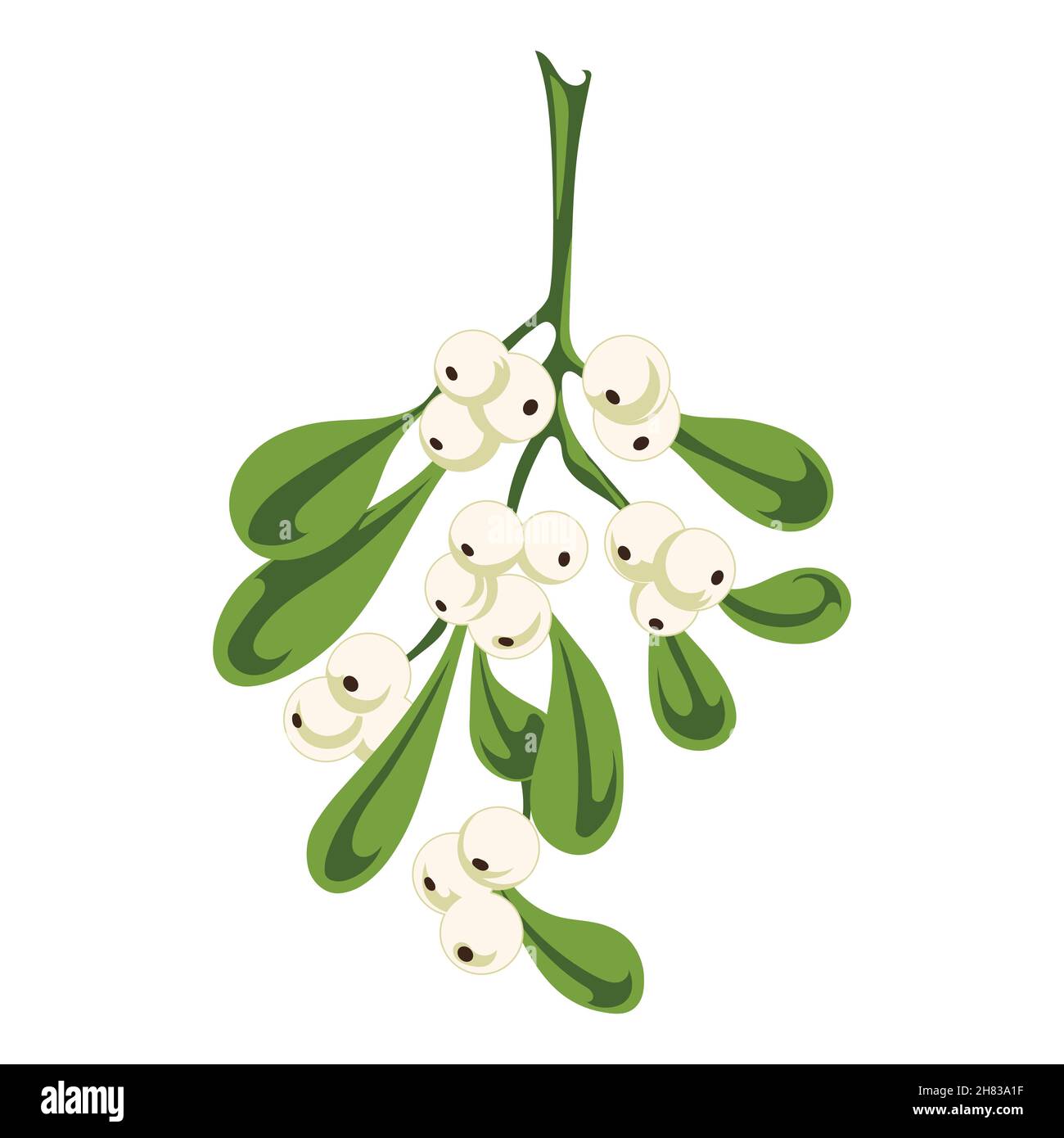 Mistletoe branch with berries and leaves in vintage style Stock Vector
