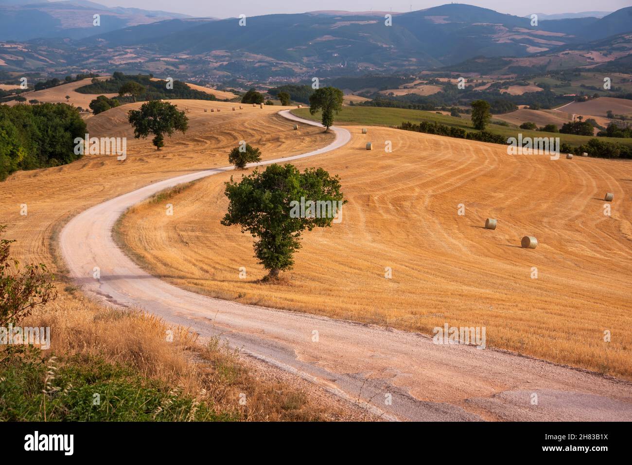 Rural landscape with winding road among farm fields in countryside ...