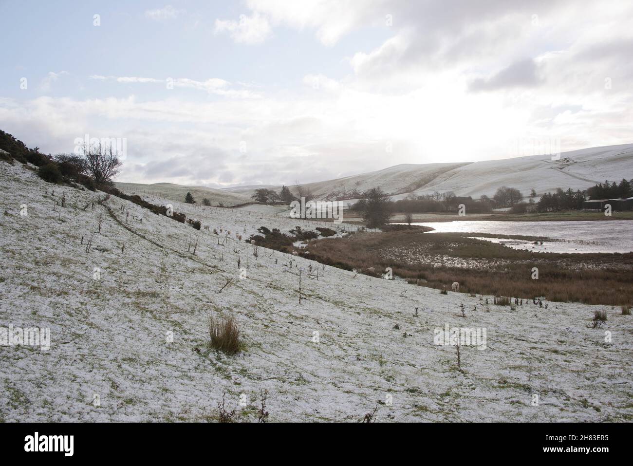 Llanfihangel-Nant Melan, Powys, Wales, UK. 27th Nov, 2021. A wintry landscape after snow fell overnight on high land near Llanfihangel-nant-Melan in Powys. Credit: Graham M. Lawrence/Alamy Live News Stock Photo