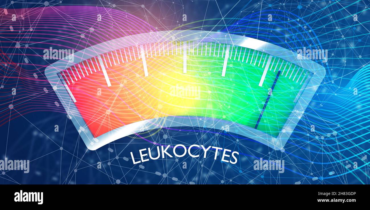Leukocytes level scale with arrow. The measuring device icon. Sign tachometer, speedometer, indicators. Infographic gauge element. 3D rendering Stock Photo