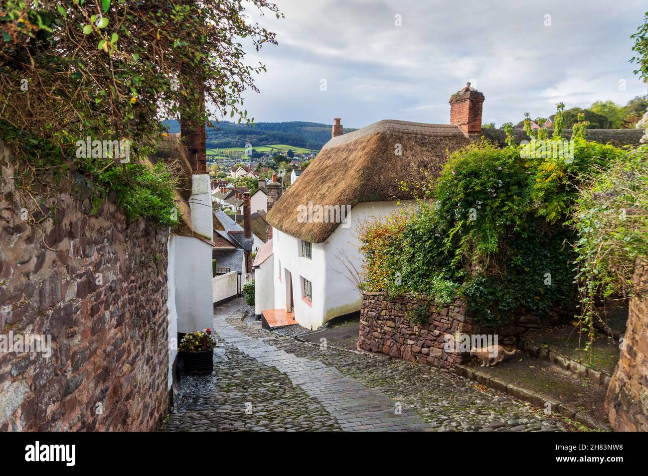 A view from North hill, Minehead, Somerset, UK  looking down a cobbled street which is near the parish church of Saint Michael Stock Photo