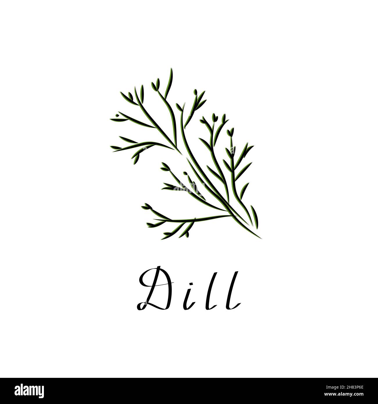 Dill flat vector illustration. Plant herb cartoon logo. Simple bunch of