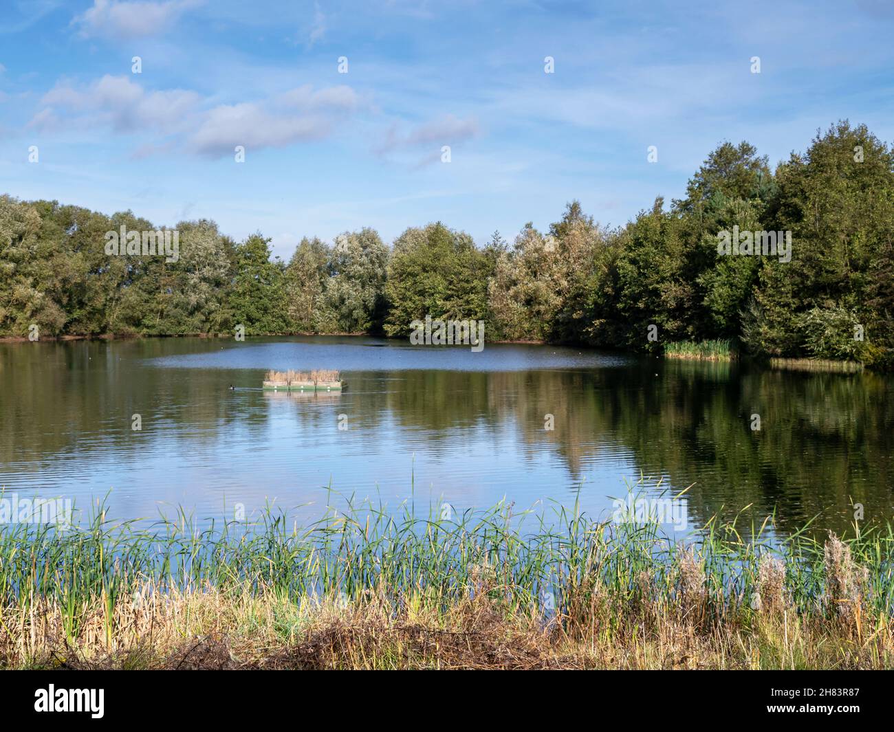 Pond in North Cave Wetlands, East Yorkshire, England Stock Photo Alamy
