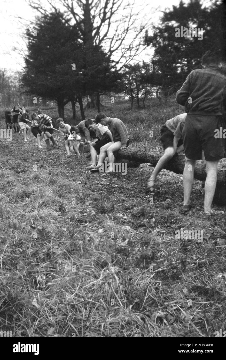 1941, historical, scout camp, log hauling, boys hauling or pulling a log up a field, one of the many activities that take place at camp, which shows the scouts skills at applying rope using a rope tackle, England, UK. Stock Photo
