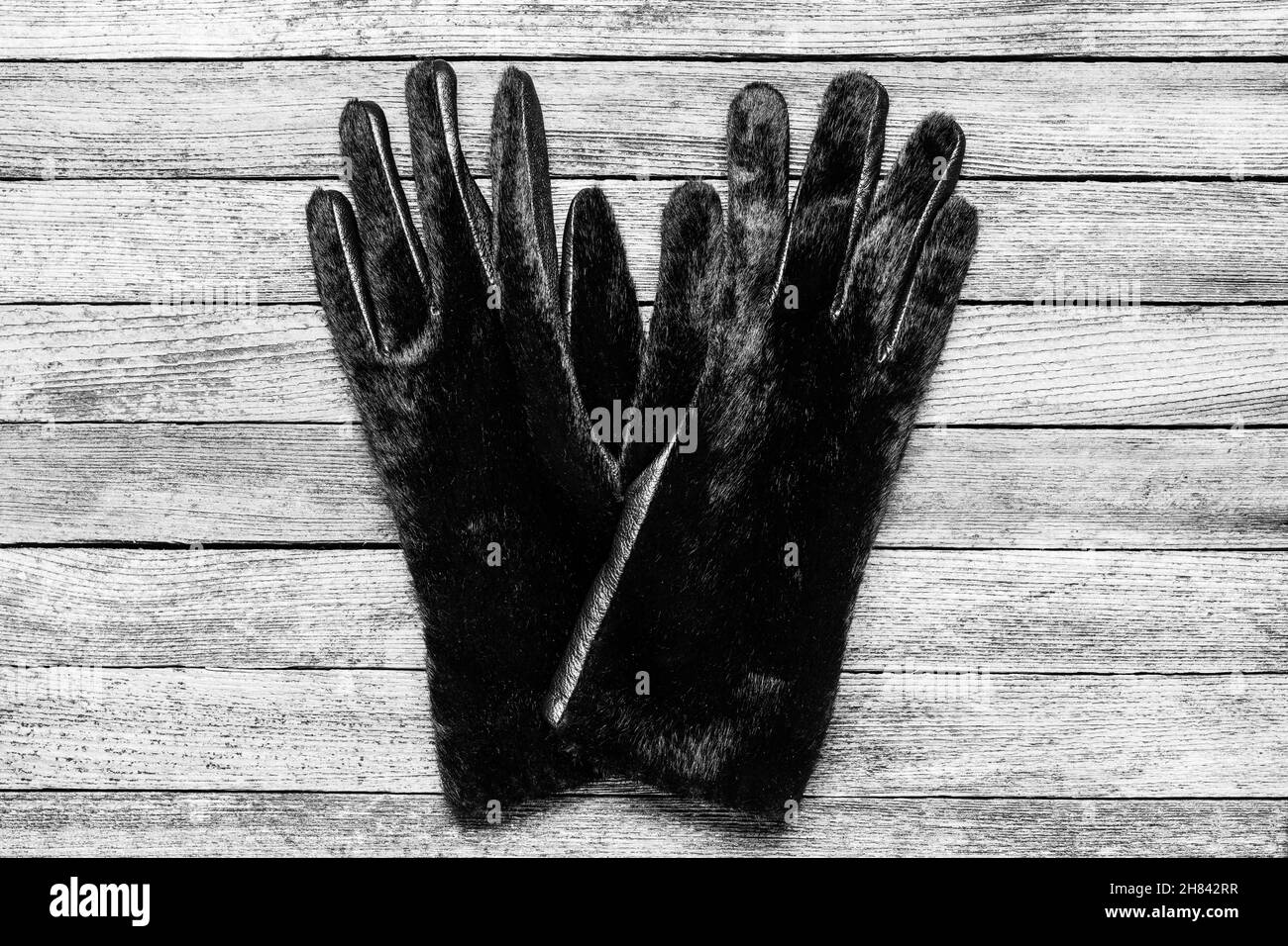 a pair of warm women's fur gloves on a wooden background close-up, top view black and white photo Stock Photo