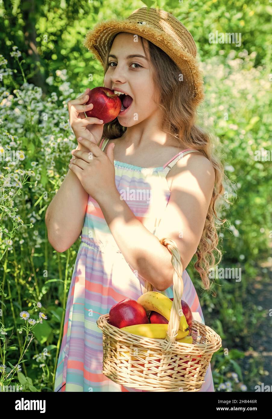 Strong teeth for good eat. Little kid bite apple in garden. Dental