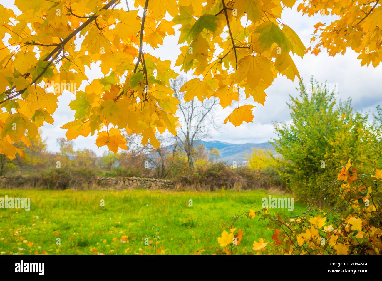 Autumn landscape. Piñuecar, Madrid province, Spain. Stock Photo
