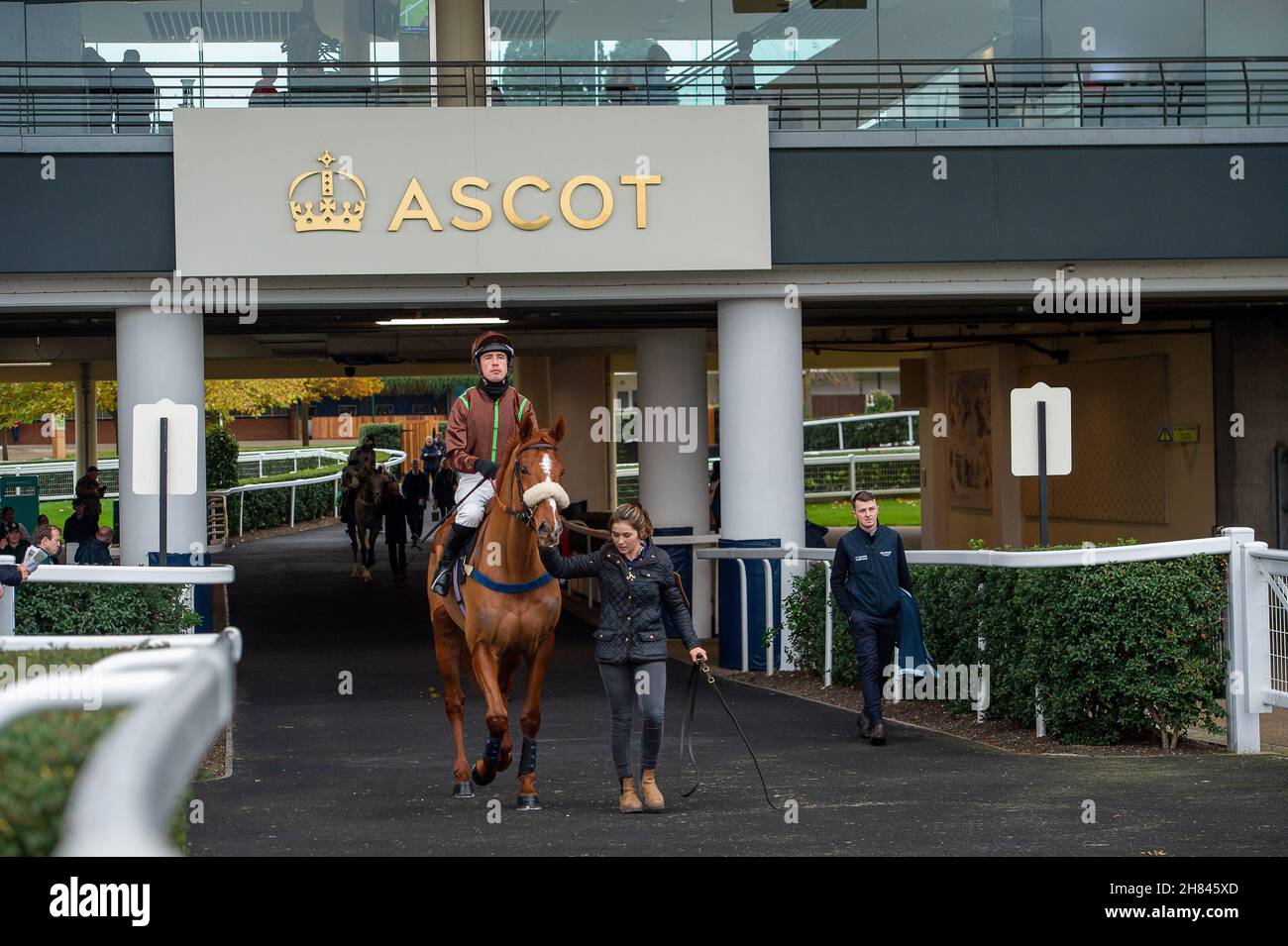 Ascot, Berkshire, UK. 19th November, 2021. Jockey Paul O'Brien on horse Universal Secret (Trainer Helen Nelmes, Dorchester) heads out onto the racetrack at Ascot to race in the Ascot Shop National Hunt Maiden Hurdle Race at Ascot. Credit: Maureen McLean/Alamy Stock Photo