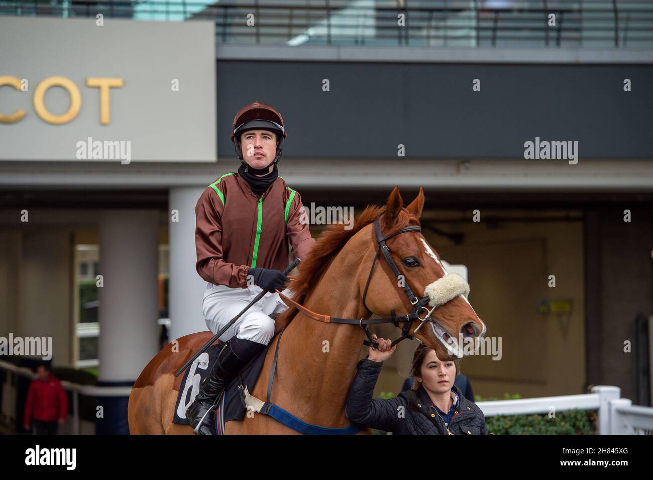 Ascot, Berkshire, UK. 19th November, 2021. Jockey Paul O'Brien on horse Universal Secret (Trainer Helen Nelmes, Dorchester) heads out onto the racetrack at Ascot to race in the Ascot Shop National Hunt Maiden Hurdle Race at Ascot. Credit: Maureen McLean/Alamy Stock Photo