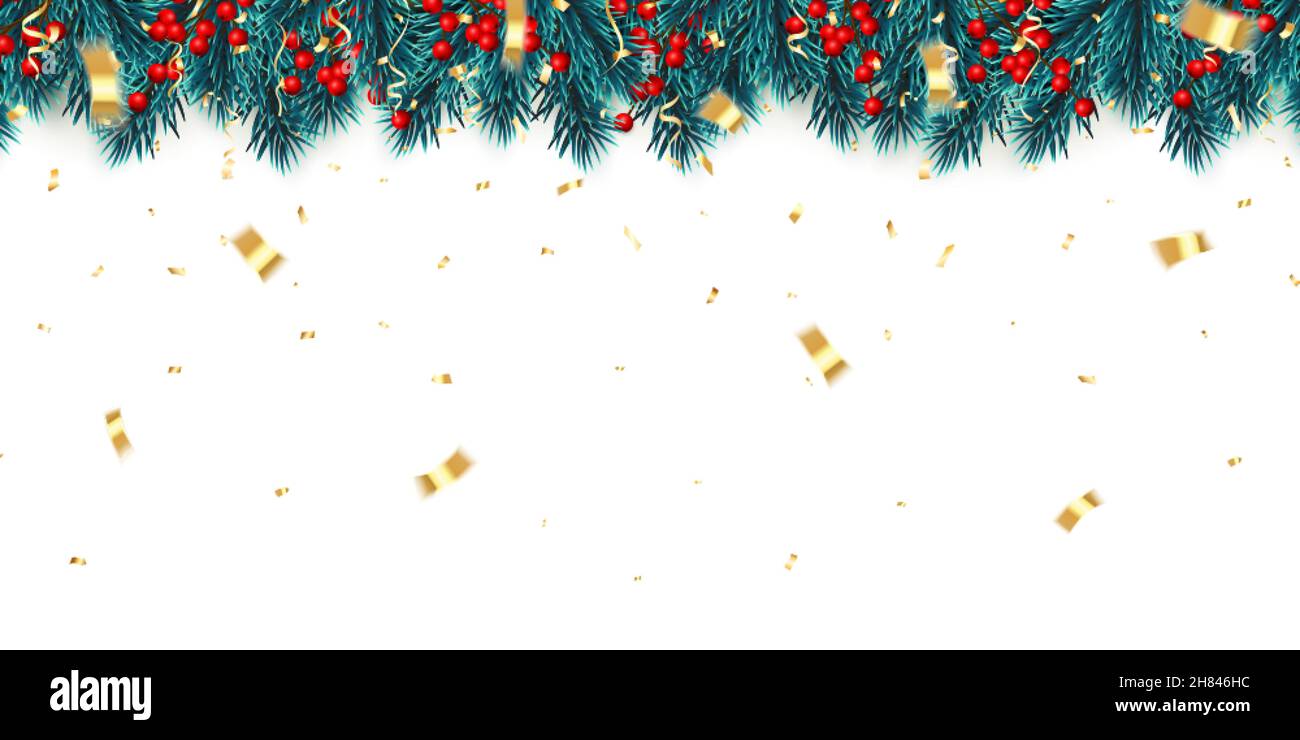 Festive New Year Background. Christmas tree branches with holly berries ...