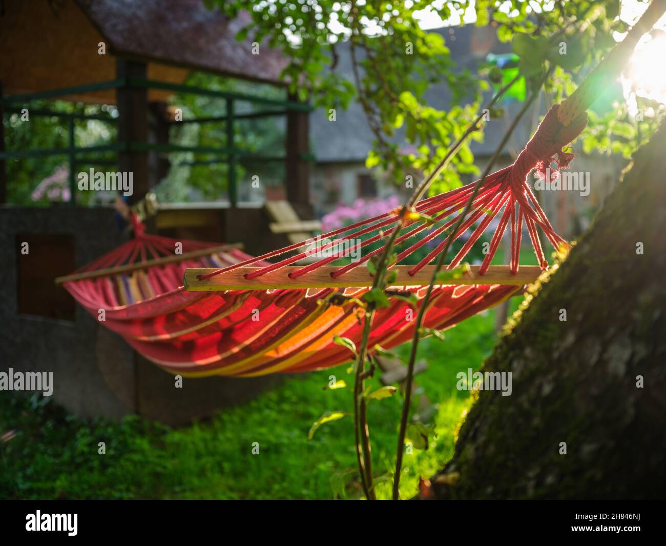 https://c8.alamy.com/comp/2H846NJ/hammock-sleeping-net-in-country-house-garden-in-summer-relaxing-under-apple-trees-2H846NJ.jpg